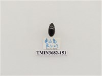 藏品(鞘翅目(2))的圖片
